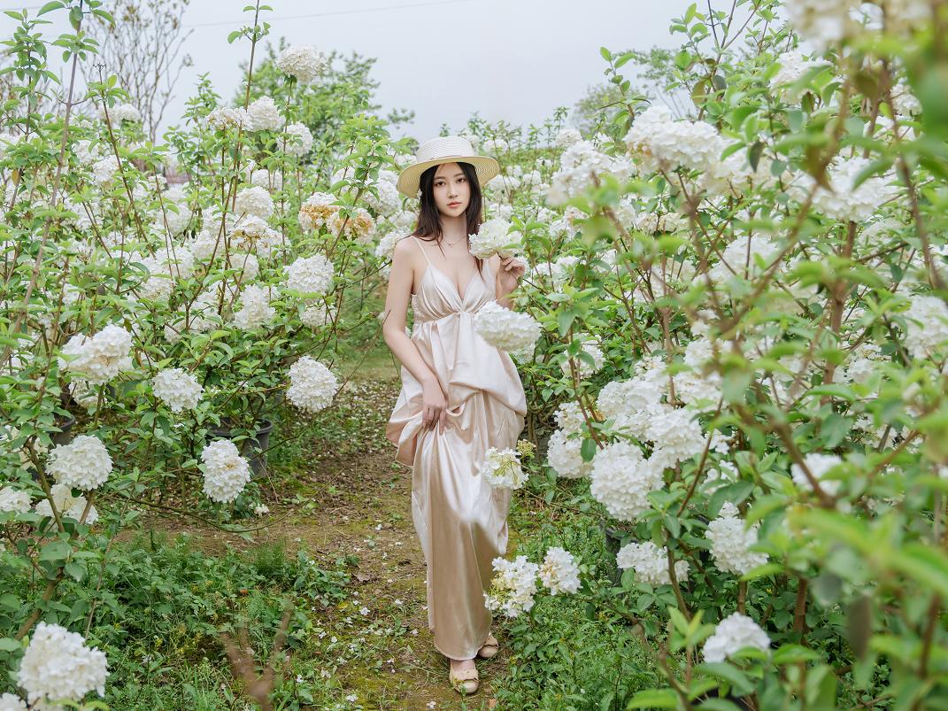 年年nnian拍白色木绣球的时候太像夏日电影女主了|花海里的轻氛围感越看越舒服