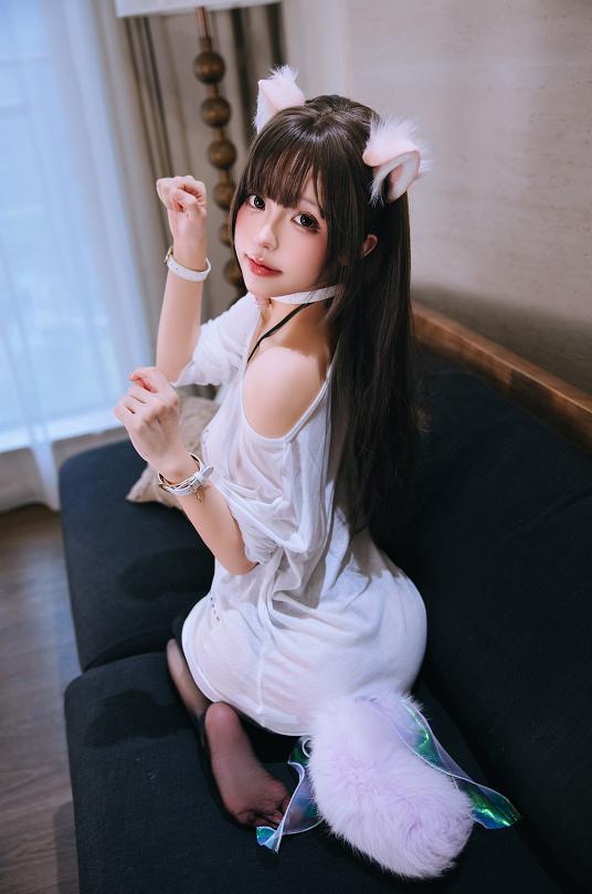 日奈娇家里的猫,白色猫耳躲进午后客厅