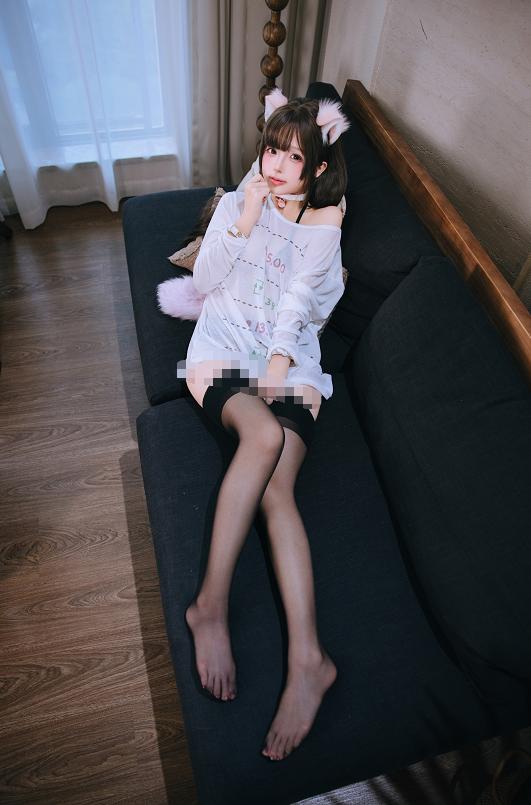 日奈娇家里的猫,白色猫耳躲进午后客厅