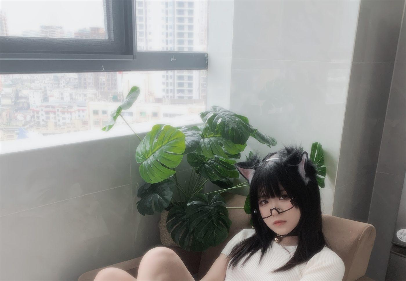 渡久山猫咪指南落地窗与绿植画面