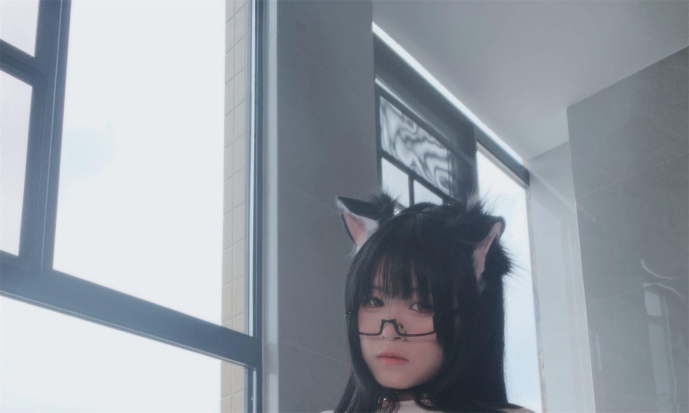 渡久山猫咪指南城市窗光近景