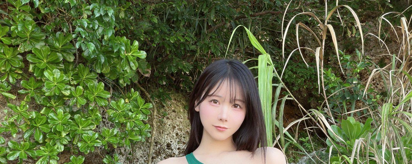 けん研与海岸边的绿色植物